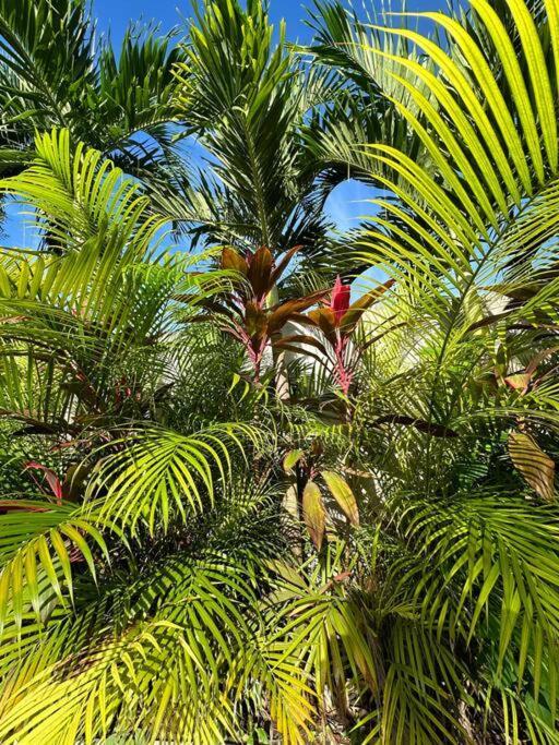 Holiday home Casa Naj Balam Bacalar