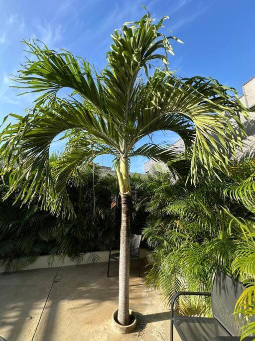Holiday home Casa Naj Balam