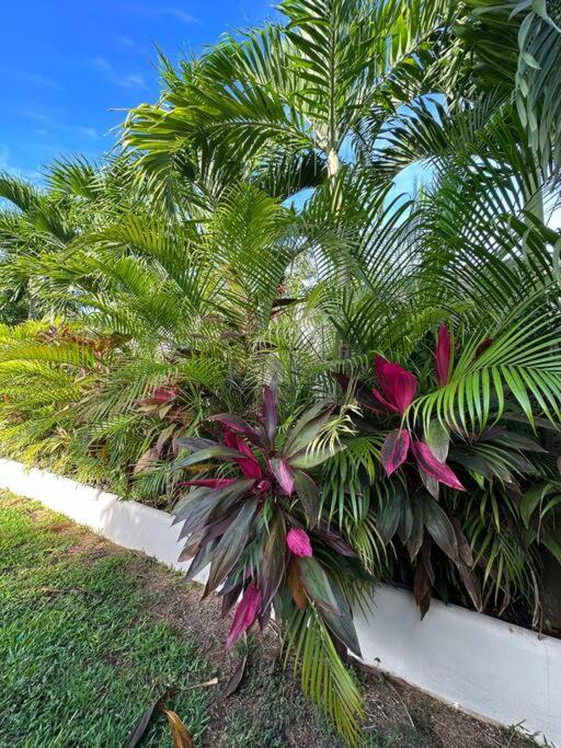 Casa Naj Balam Holiday home *